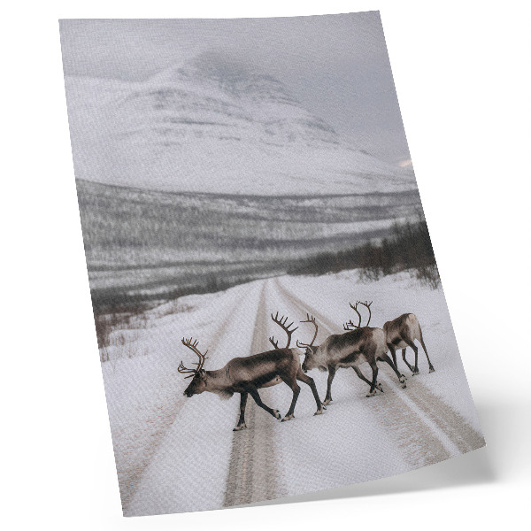 Décoration murale Renne sur une route enneigée au milieu des montagnes, arrière-plan hivernal