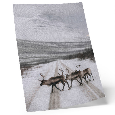 Décoration murale Renne sur une route enneigée au milieu des montagnes, arrière-plan hivernal