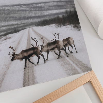Décoration murale Renne sur une route enneigée au milieu des montagnes, arrière-plan hivernal