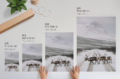 Décoration murale Renne sur une route enneigée au milieu des montagnes, arrière-plan hivernal