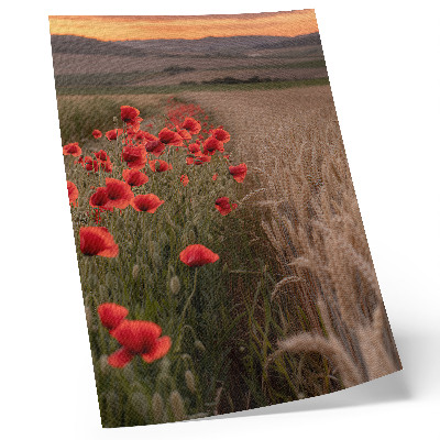 Décoration murale Coquelicots au coucher du soleil, harmonie des couleurs de la nature