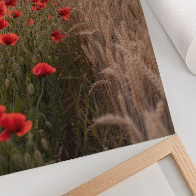 Décoration murale Coquelicots au coucher du soleil, harmonie des couleurs de la nature