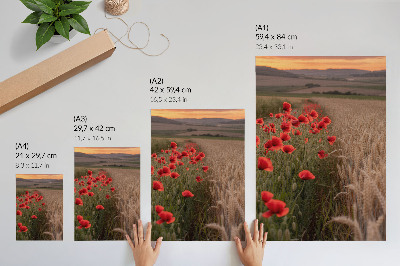 Décoration murale Coquelicots au coucher du soleil, harmonie des couleurs de la nature