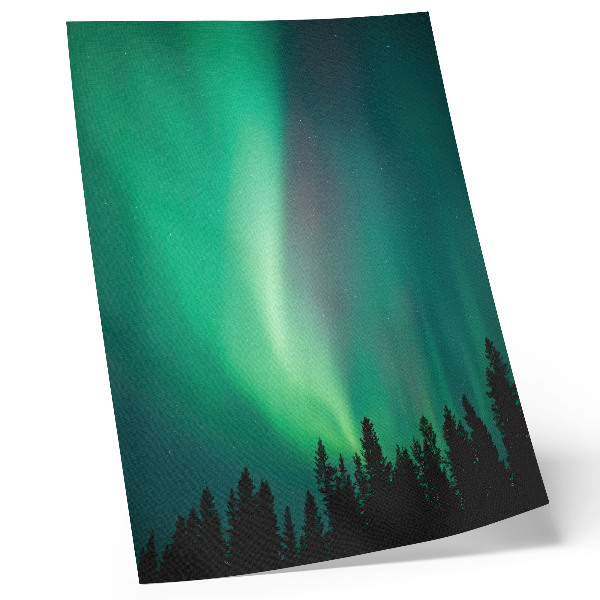 Impression sur toile Aurore, arbres verts, nature magique nocturne