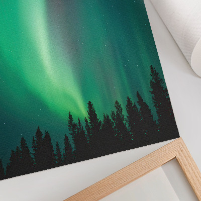 Impression sur toile Aurore, arbres verts, nature magique nocturne
