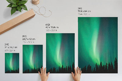 Impression sur toile Aurore, arbres verts, nature magique nocturne