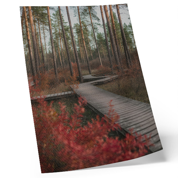 Décoration murale Chemin de bois, forêt, couleurs d'automne
