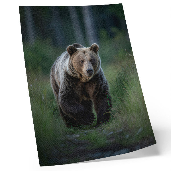 Affiche décorative Un ours fier dans un cadre forestier