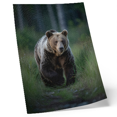 Affiche décorative Un ours fier dans un cadre forestier