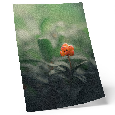 Impression sur toile Baies orange sur fond vert