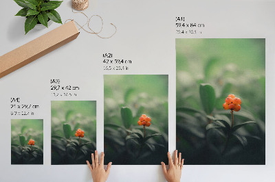 Impression sur toile Baies orange sur fond vert