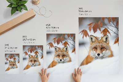 Décoration murale Renard dans un paysage hivernal, beauté naturelle et contraste