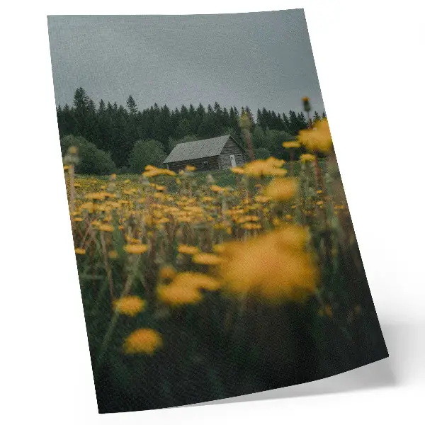 Affiche décorative forêt rustique avec fleurs jaunes floues