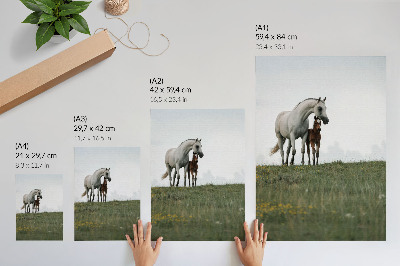 Décoration murale La beauté de la nature et le spectacle apaisant des chevaux
