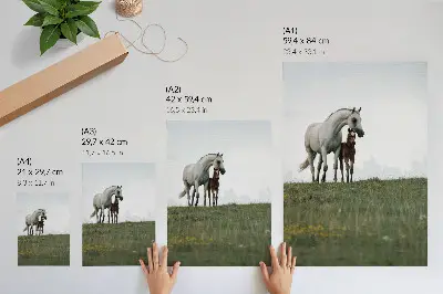 Décoration murale représentant la beauté de la nature et le spectacle apaisant des chevaux