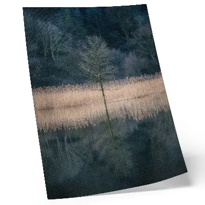 Impression sur toile un arbre solitaire reflétant le brouillard du lac