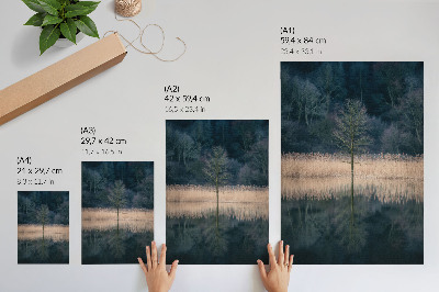 Impression sur toile Un arbre solitaire reflète le brouillard du lac