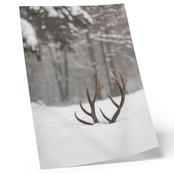Décoration murale Paysage d'hiver avec des bois de cerf dans la neige