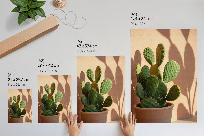 Décoration murale Cactus en pot, ombres, couleurs délicates, apaisant