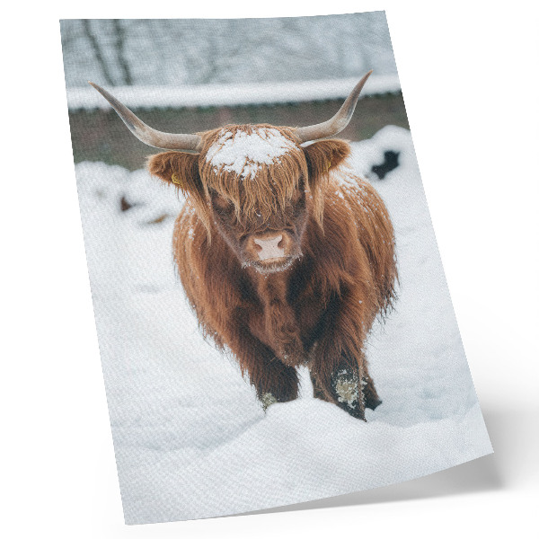 Impression sur toile Bétail dans la neige : le contraste entre l'animal et la nature