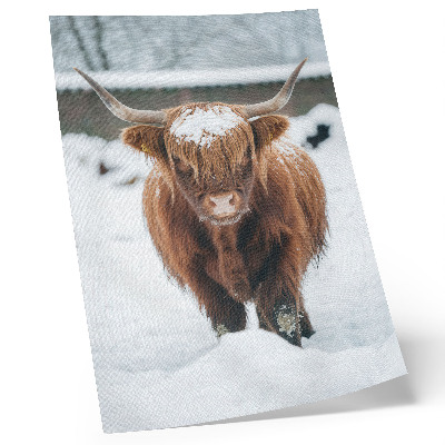 Impression sur toile Bétail dans la neige : le contraste entre l'animal et la nature