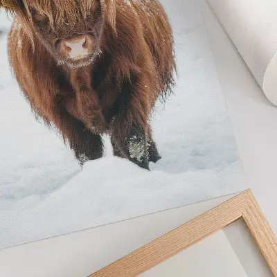 Impression sur toile représentant du bétail dans la neige pour illustrer le contraste entre l'animal et la nature