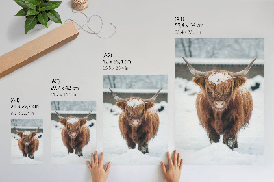 Impression sur toile Bétail dans la neige : le contraste entre l'animal et la nature