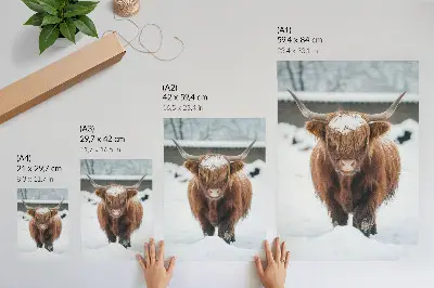Impression sur toile représentant du bétail dans la neige pour illustrer le contraste entre l'animal et la nature