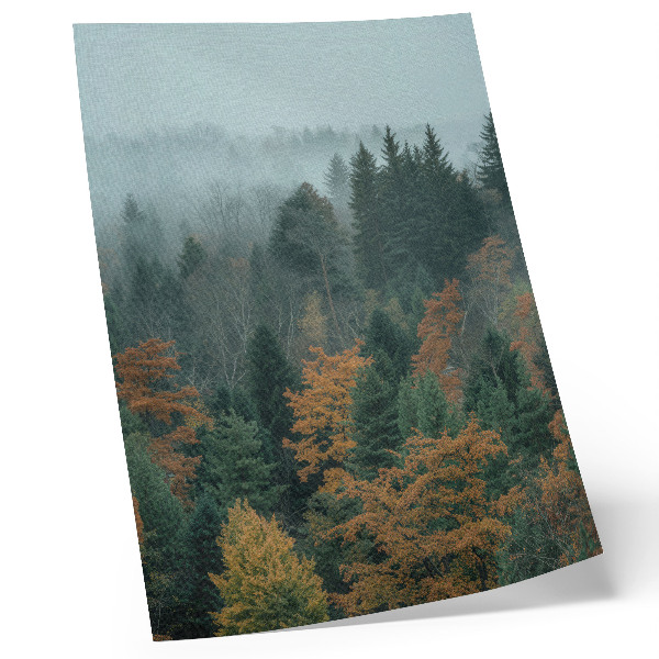 Décoration murale Arbres verts, brume, feuilles orangées, paix
