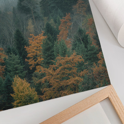 Décoration murale Arbres verts, brume, feuilles orangées, paix