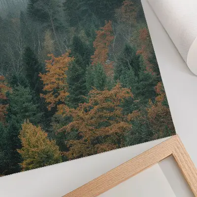 Décoration murale arbres verts dans la brume avec des feuilles orangées évoquant la paix