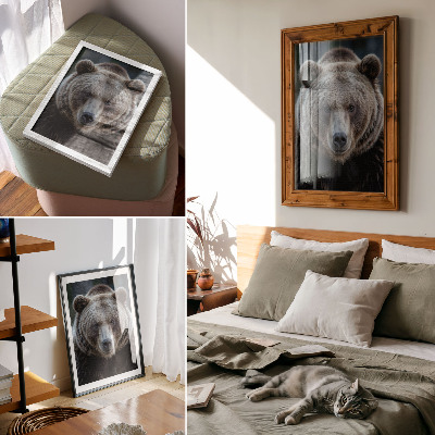 Affiche décorative Portrait réaliste d'un ours, calme et fort