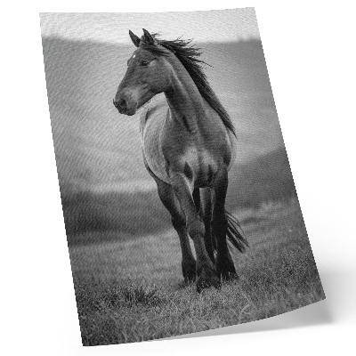 Impression sur toile Un cheval charmant, plein d'énergie et de grâce