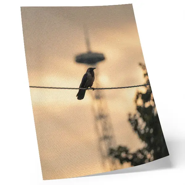 Affiche décorative oiseau sur un fil avec un ciel du soir et un arrière-plan délicat