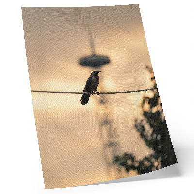 Affiche décorative Oiseau sur un fil, ciel du soir, arrière-plan délicat