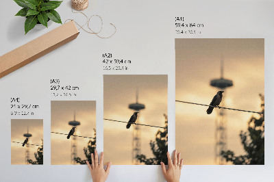 Affiche décorative Oiseau sur un fil, ciel du soir, arrière-plan délicat