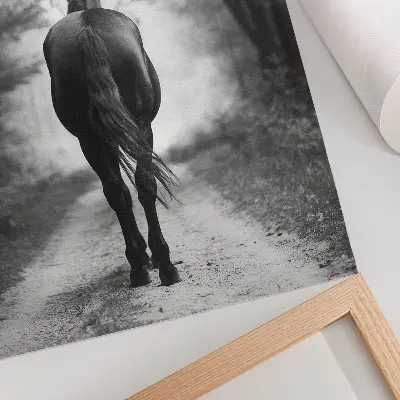 Affiche décorative photographie d'un cheval en noir et blanc dans la forêt