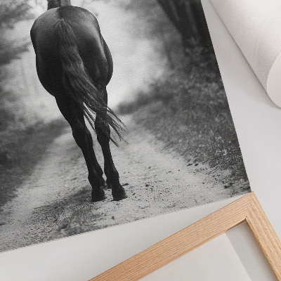 Affiche décorative Photographie d'un cheval noir et blanc dans la forêt