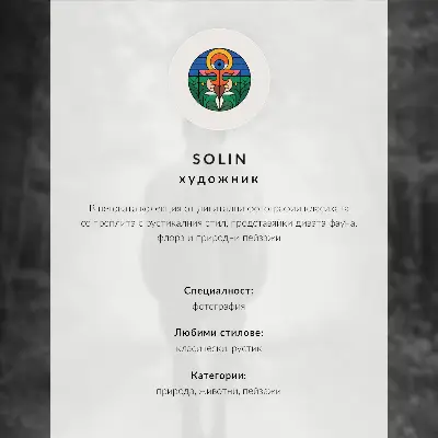 Affiche décorative photographie d'un cheval en noir et blanc dans la forêt
