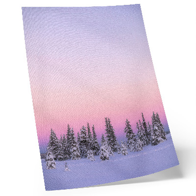 Affiche décorative Arbres d'hiver, ciel pastel mélancolique, paix