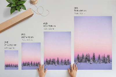 Affiche décorative Arbres d'hiver, ciel pastel mélancolique, paix