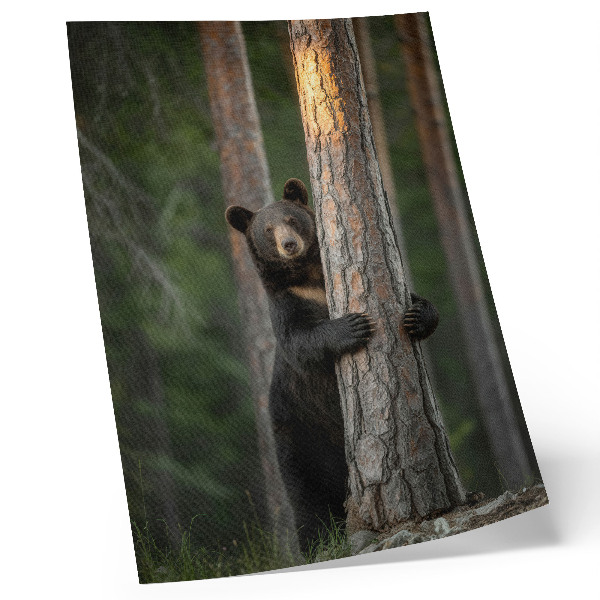 Impression sur toile Ours dans la forêt, composition réaliste