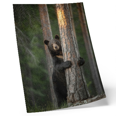 Impression sur toile Ours dans la forêt, composition réaliste