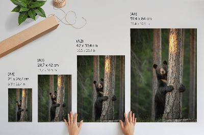 Impression sur toile Ours dans la forêt, composition réaliste