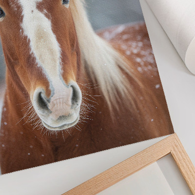 Impression sur toile Portrait de cheval, hiver, calme, naturel, harmonie