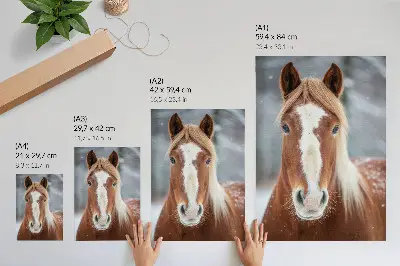 Impression sur toile portrait de cheval dans un paysage hivernal calme et naturel