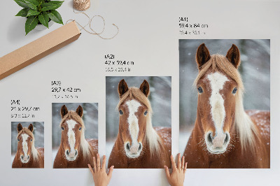 Impression sur toile Portrait de cheval, hiver, calme, naturel, harmonie