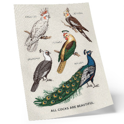 Affiche décorative Oiseaux élégants, plumes, couleurs variées