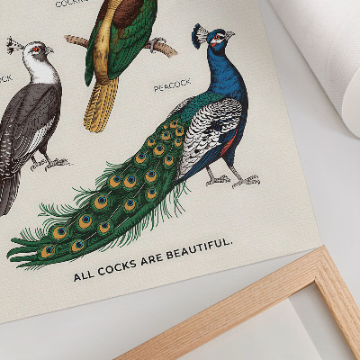 Affiche décorative Oiseaux élégants, plumes, couleurs variées