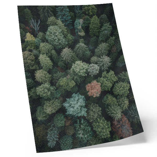 Décoration murale Paysage forestier vu du ciel avec des feuilles aux couleurs variées